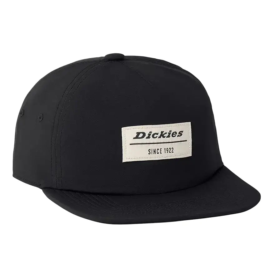 Dickies Skateboarding Low Profile Athletic Hat - Black